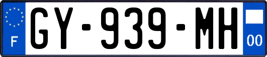 GY-939-MH
