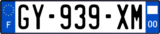 GY-939-XM