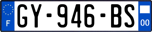 GY-946-BS