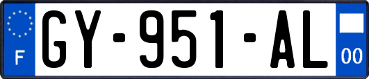 GY-951-AL