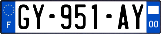 GY-951-AY