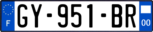 GY-951-BR
