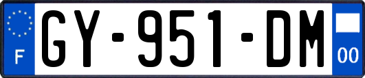 GY-951-DM