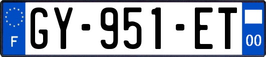 GY-951-ET