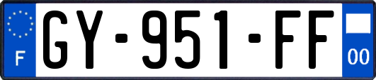 GY-951-FF