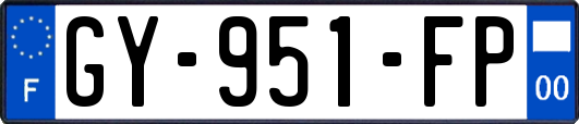 GY-951-FP