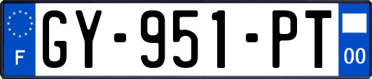 GY-951-PT