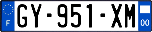 GY-951-XM