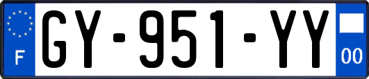 GY-951-YY