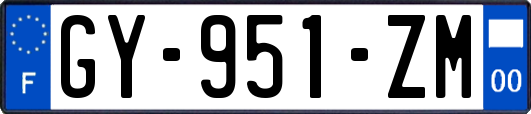 GY-951-ZM