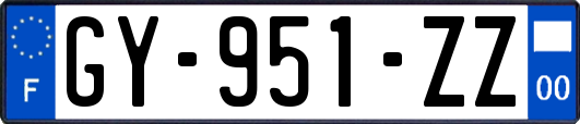 GY-951-ZZ