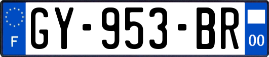 GY-953-BR