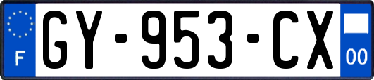 GY-953-CX
