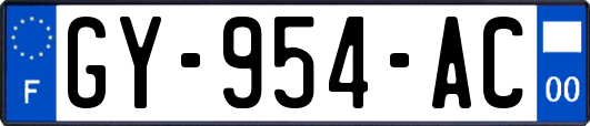 GY-954-AC