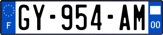 GY-954-AM