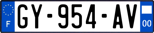 GY-954-AV