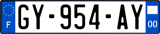 GY-954-AY