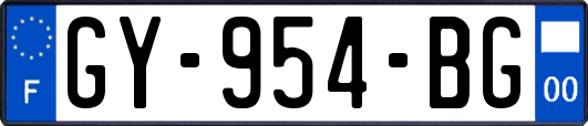 GY-954-BG