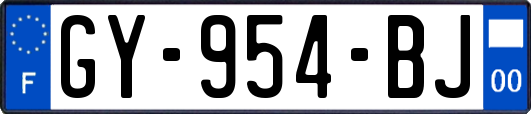 GY-954-BJ