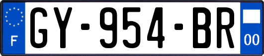 GY-954-BR