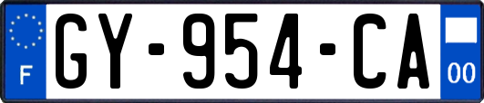 GY-954-CA