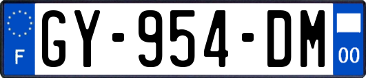 GY-954-DM