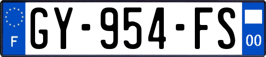 GY-954-FS