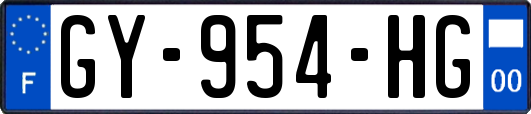 GY-954-HG