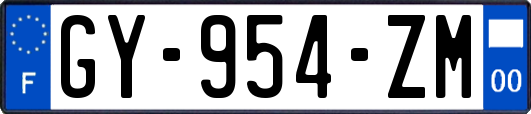GY-954-ZM