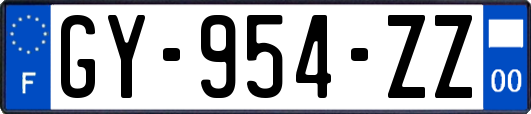 GY-954-ZZ