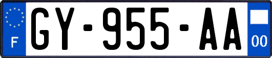 GY-955-AA