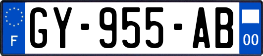 GY-955-AB