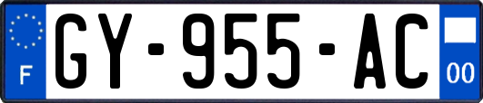 GY-955-AC
