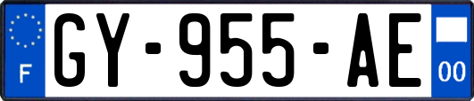 GY-955-AE