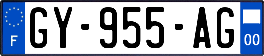 GY-955-AG