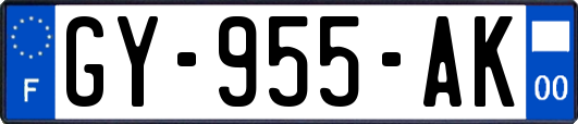 GY-955-AK