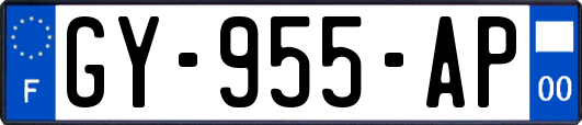 GY-955-AP