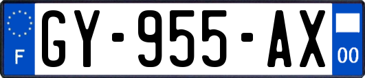 GY-955-AX