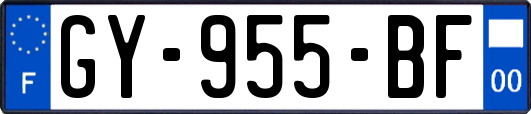 GY-955-BF
