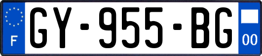 GY-955-BG