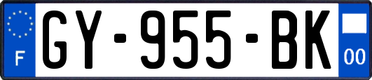 GY-955-BK