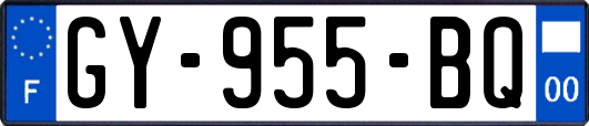 GY-955-BQ