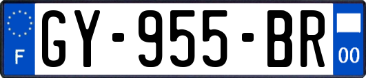 GY-955-BR