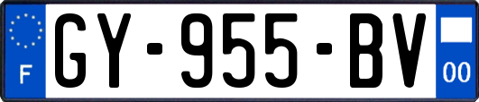 GY-955-BV