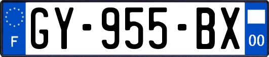 GY-955-BX