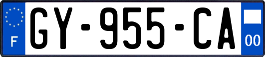 GY-955-CA