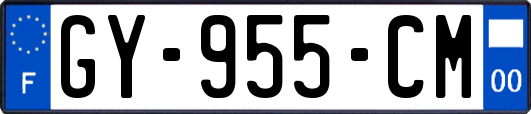 GY-955-CM