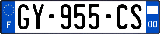 GY-955-CS
