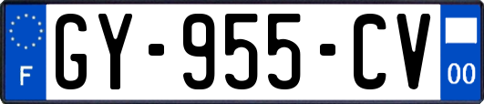 GY-955-CV