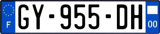 GY-955-DH